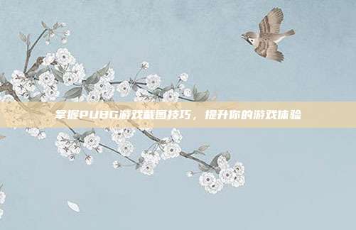 掌握PUBG游戏截图技巧,提升你的游戏体验