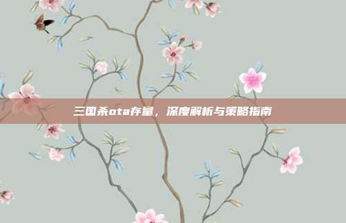 三国杀ota存量,深度解析与策略指南