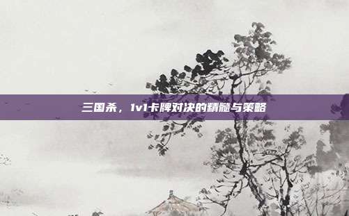 三国杀，1v1卡牌对决的精髓与策略