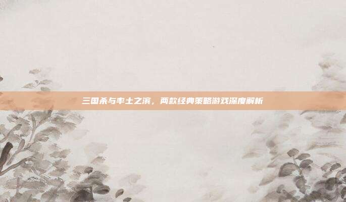 三国杀与率土之滨,两款经典策略游戏深度解析