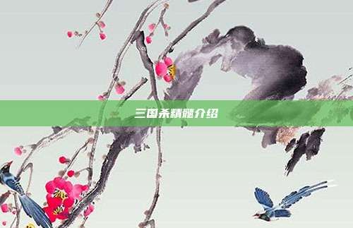 三国杀精髓介绍