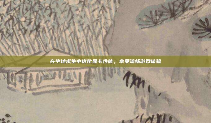 在绝地求生中优化显卡性能,享受流畅游戏体验