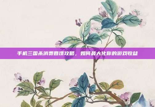 手机三国杀消费回馈攻略,如何最大化你的游戏收益