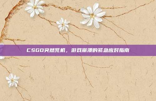 CSGO突然死机,游戏崩溃的紧急应对指南
