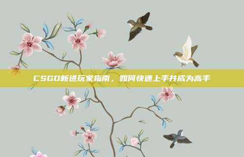 CSGO新进玩家指南,如何快速上手并成为高手