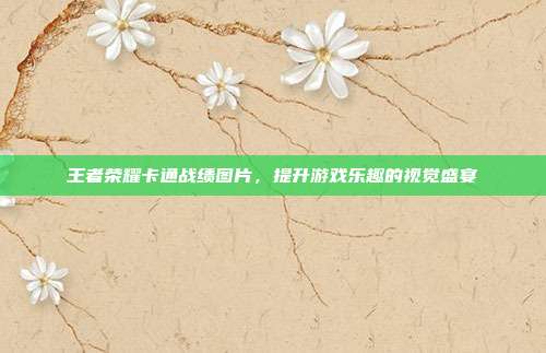 王者荣耀卡通战绩图片,提升游戏乐趣的视觉盛宴