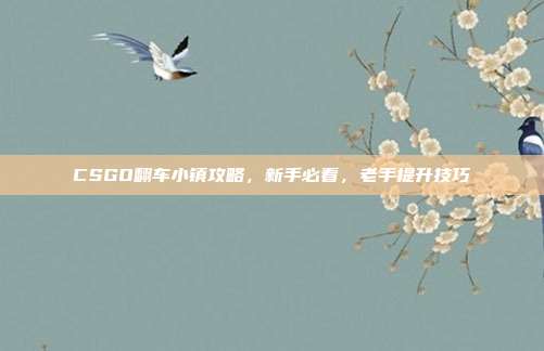 CSGO翻车小镇攻略,新手必看,老手提升技巧
