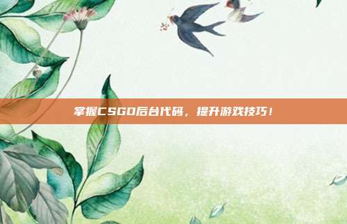 掌握CSGO后台代码,提升游戏技巧!