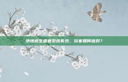 绝地求生语音系统失效,玩家如何应对?