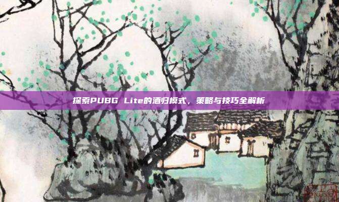 探索PUBG Lite的酒归模式,策略与技巧全解析