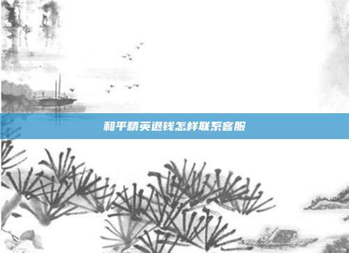 和平精英退钱怎样联系客服