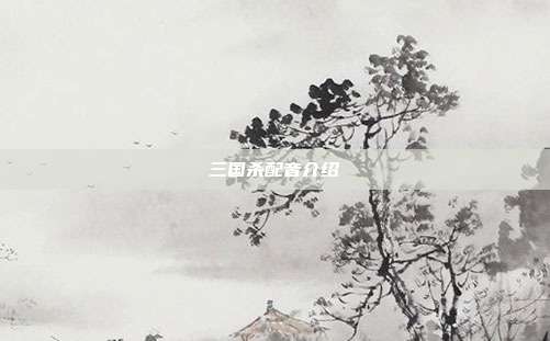 三国杀配音介绍