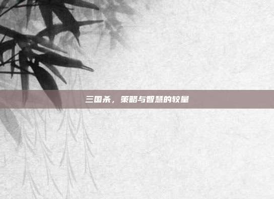三国杀,策略与智慧的较量