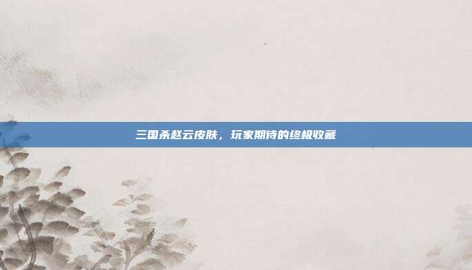 三国杀赵云皮肤,玩家期待的终极收藏