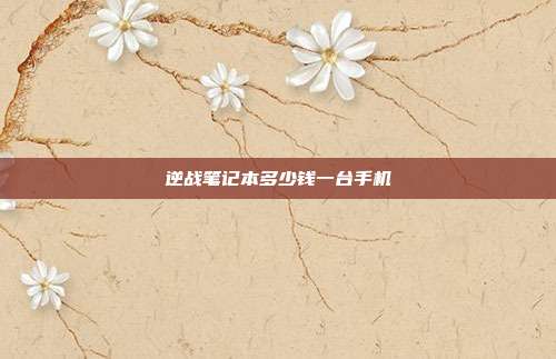 逆战笔记本多少钱一台手机