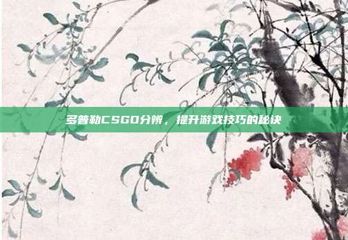 多普勒CSGO分辨，提升游戏技巧的秘诀