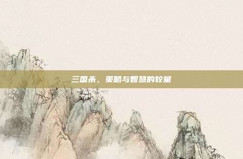 三国杀,策略与智慧的较量