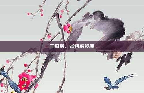 三国杀，神将的觉醒
