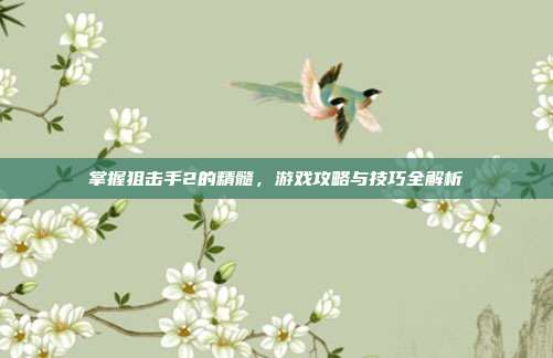 掌握狙击手2的精髓,游戏攻略与技巧全解析