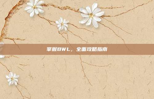 掌握BWL,全面攻略指南