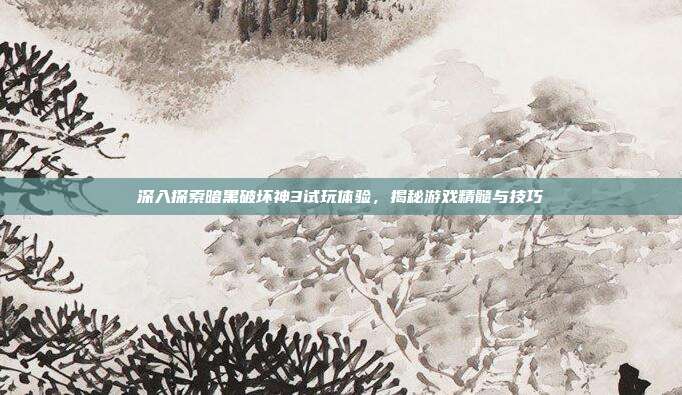 深入探索暗黑破坏神3试玩体验，揭秘游戏精髓与技巧