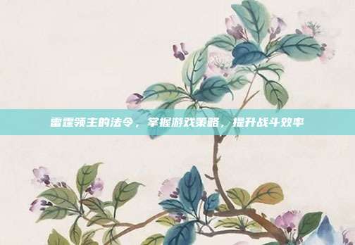 雷霆领主的法令,掌握游戏策略,提升战斗效率