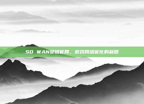SD WAN贝锐官网，游戏网络优化的利器