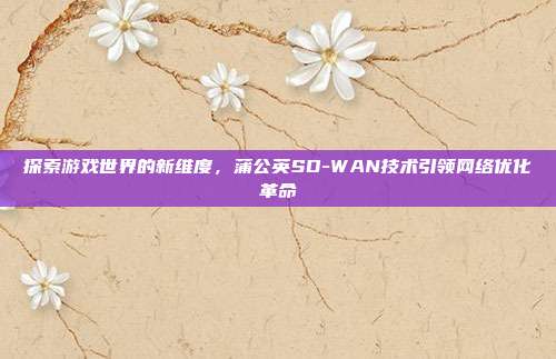 探索游戏世界的新维度,蒲公英SD-WAN技术引领网络优化革命