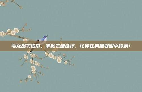 毒龙出装指南,掌握装备选择,让你在英雄联盟中称霸!