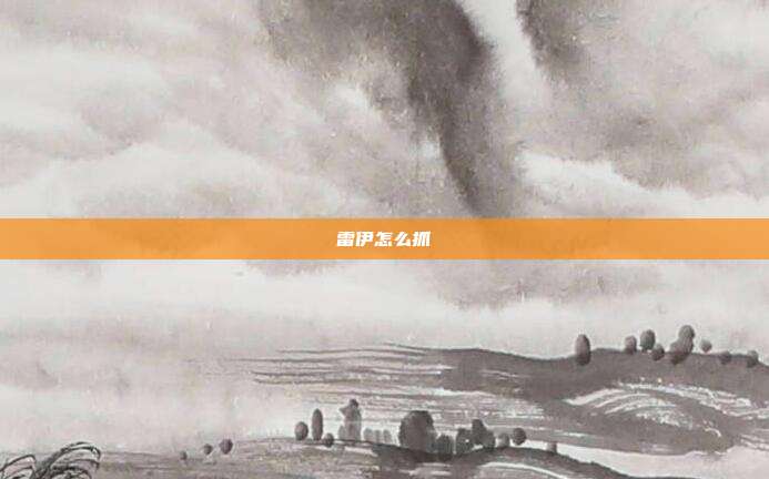 雷伊怎么抓