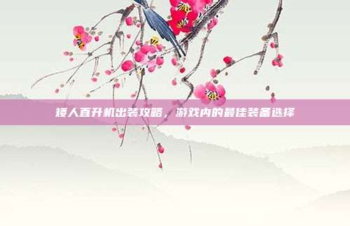 矮人直升机出装攻略,游戏内的最佳装备选择