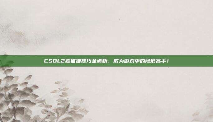 CSOL2躲猫猫技巧全解析,成为游戏中的隐形高手!