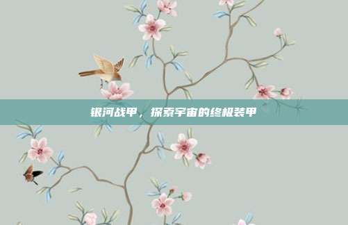 银河战甲,探索宇宙的终极装甲
