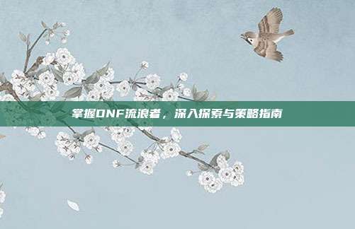 掌握DNF流浪者,深入探索与策略指南