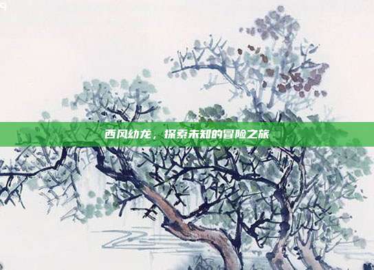 西风幼龙,探索未知的冒险之旅