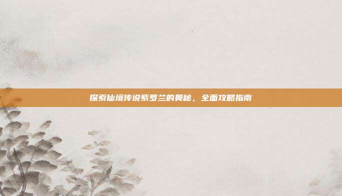 探索仙境传说紫罗兰的奥秘,全面攻略指南