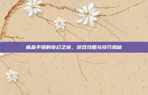 极品手镯的奇幻之旅，游戏攻略与技巧揭秘