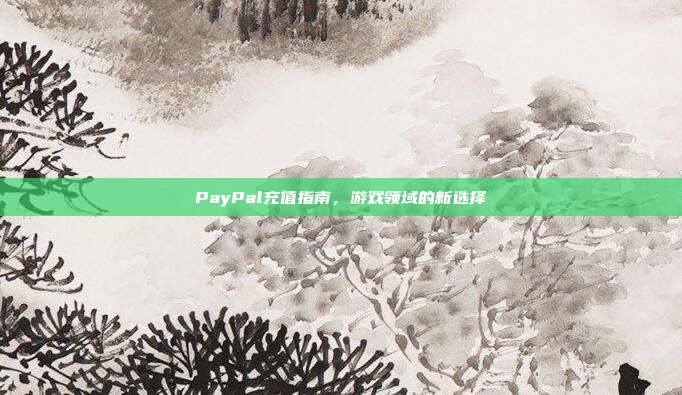 PayPal充值指南,游戏领域的新选择