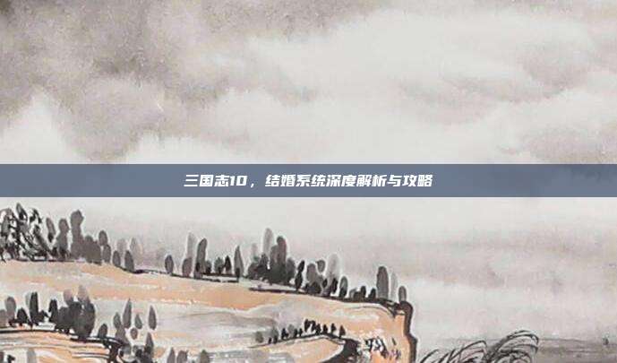 三国志10,结婚系统深度解析与攻略