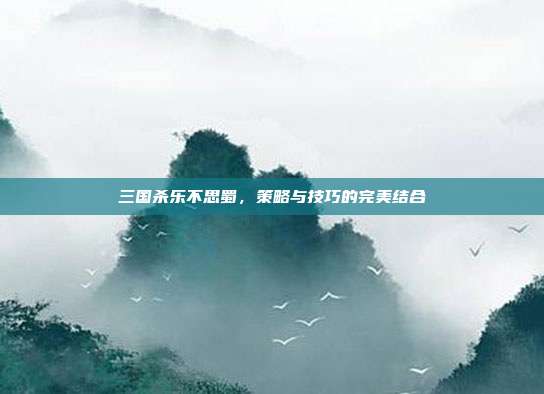 三国杀乐不思蜀,策略与技巧的完美结合