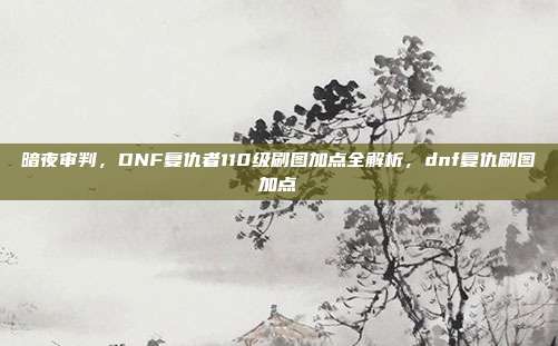 暗夜审判，DNF复仇者110级刷图加点全解析，dnf复仇刷图加点