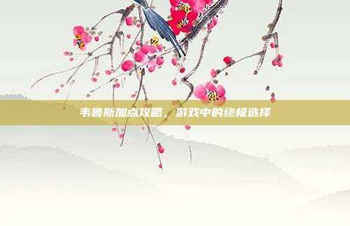 韦鲁斯加点攻略，游戏中的终极选择