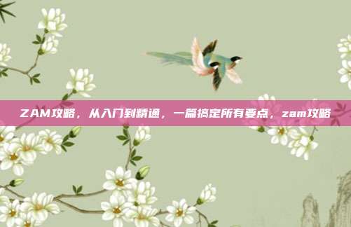 ZAM攻略，从入门到精通，一篇搞定所有要点，zam攻略