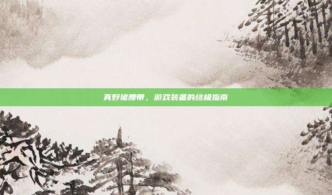 真野猪腰带,游戏装备的终极指南