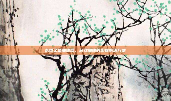 永恒之塔加速器,游戏加速的终极解决方案