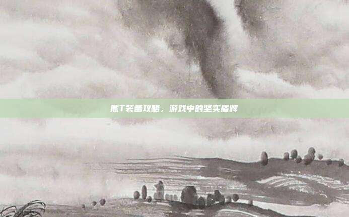 熊T装备攻略，游戏中的坚实盾牌