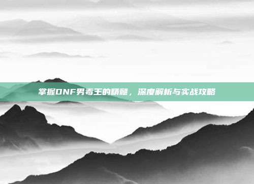 掌握DNF男毒王的精髓,深度解析与实战攻略
