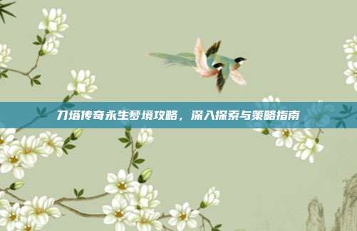 刀塔传奇永生梦境攻略,深入探索与策略指南