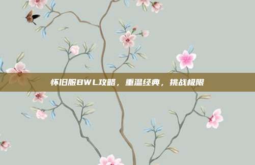 怀旧服BWL攻略，重温经典，挑战极限