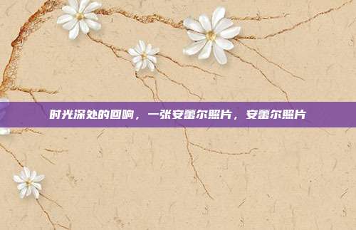 时光深处的回响，一张安蕾尔照片，安蕾尔照片